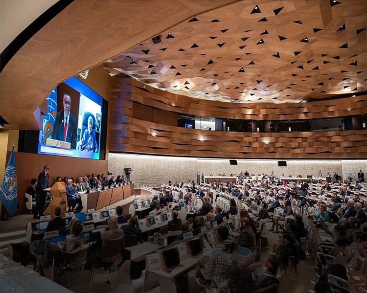 Grande plenária com homens e mulheres assistindo a um telão no qual se vê o diretor geral da OMS