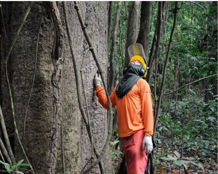 2022 será o ano de protagonismo da agenda ambiental global? 2022 será o ano de protagonismo da agenda ambiental global?