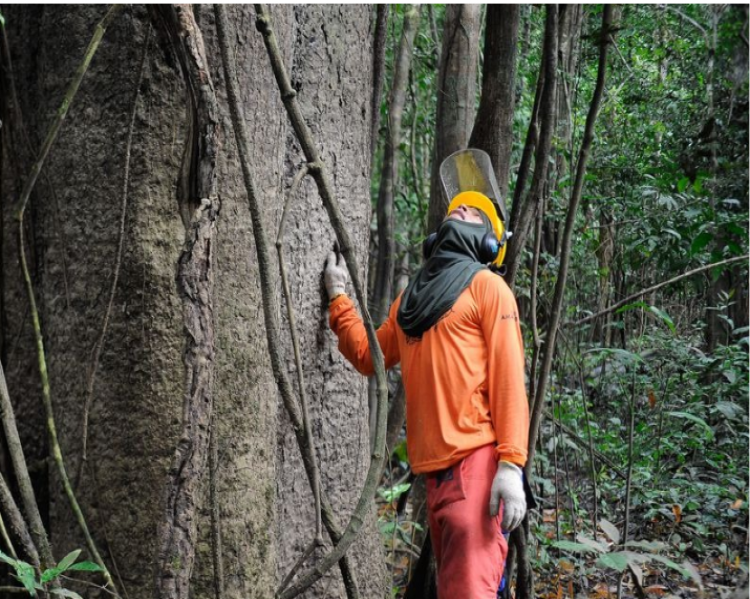 2022 será o ano de protagonismo da agenda ambiental global?