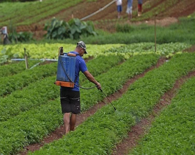 Sufocado por agrotóxicos perigosos, Brasil tem de