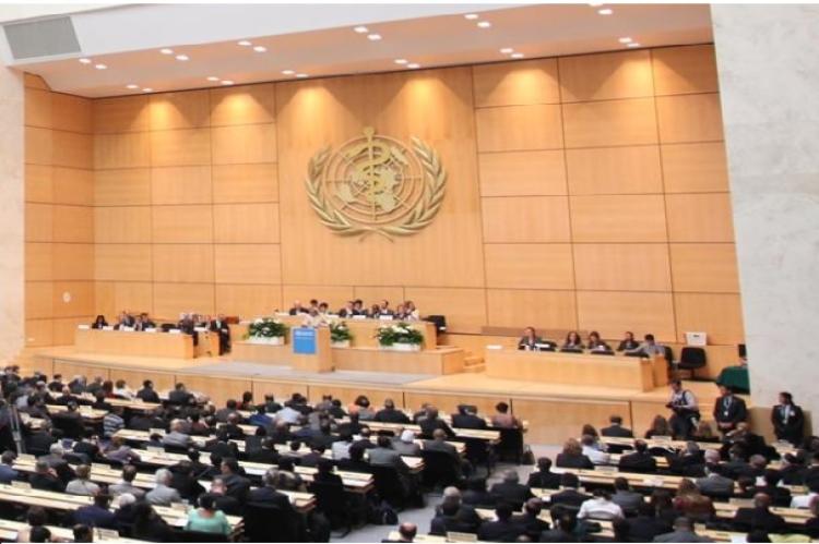 Plenária com pessoas sentadas olhando em direção a um palco onde se vê o símbolo da OMS ao fundo, pessoas em uma mesa de debates e um púlpito