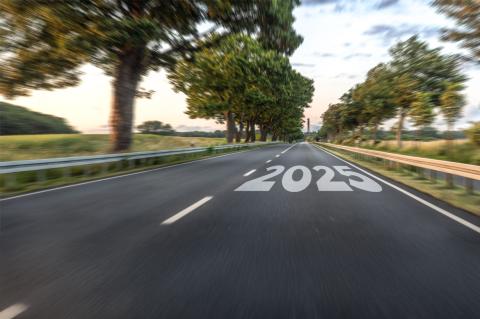 Estrada ladeada por árvores, com a inscrição 2025 no asfalto