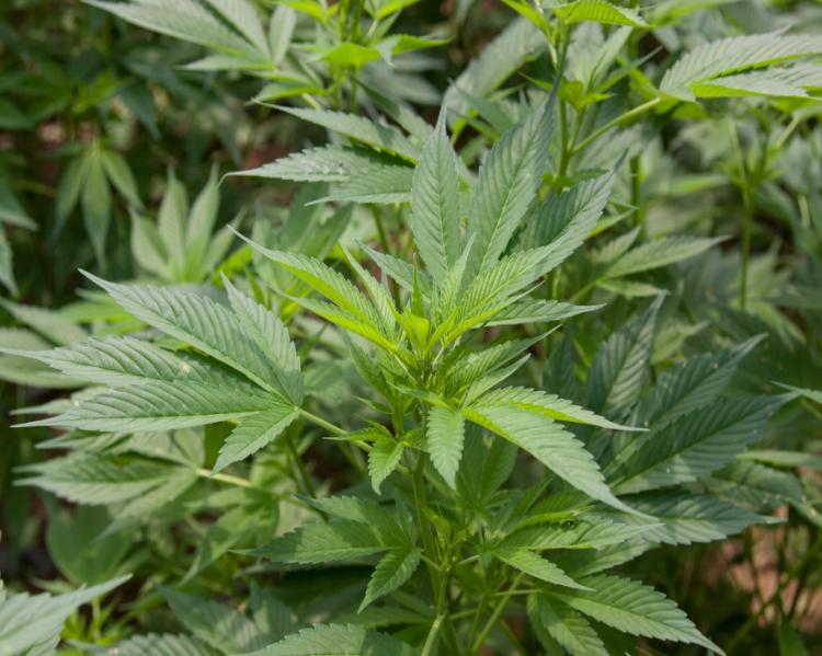 Foto: Agência Brasil