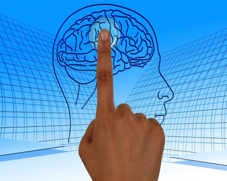 mente humana1_pixabay