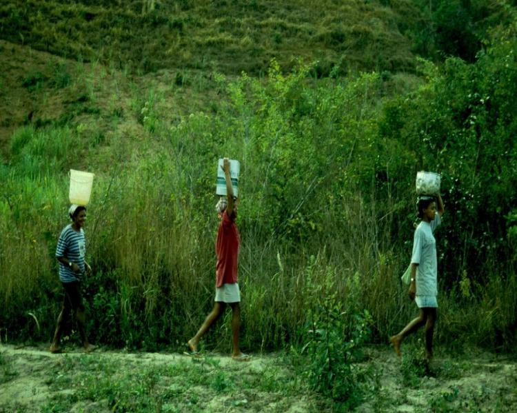 três mulheres enfileiradas caminham com latas d´'agua na cabeça, tendo uma vegetação verde ao fundo
