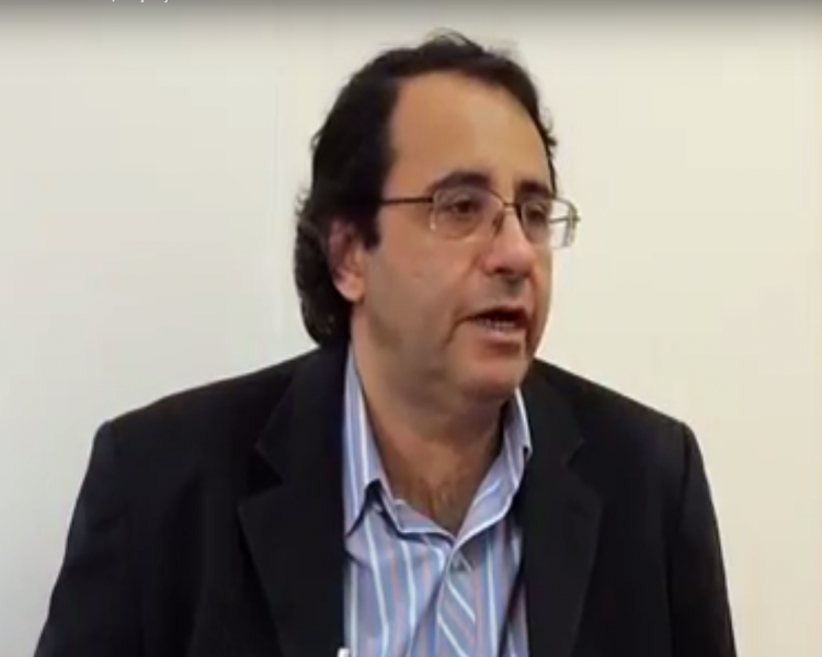 pinkusfeld_reprodução1