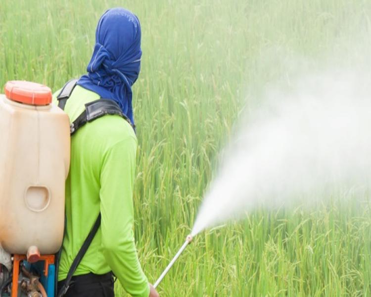 agrotoxicos_PIXABAY_V2