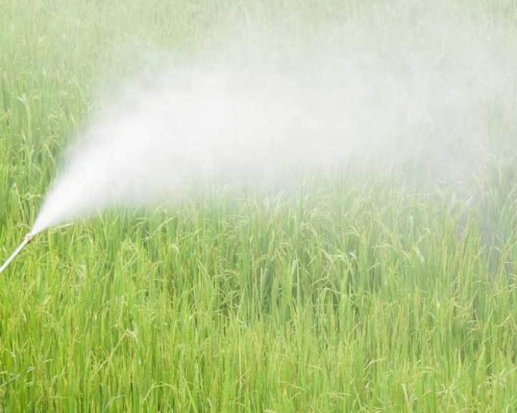 spray agrotoxico1