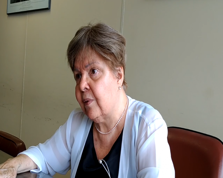 Maria Cecília Minayo/Violência no Brasil/CEE-Fiocruz.