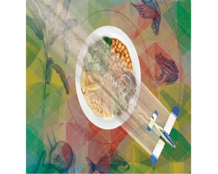 Detalhe da capa do 'Dossiê Abrasco: um alerta sobre os impactos dos agrotóxicos na saúde'