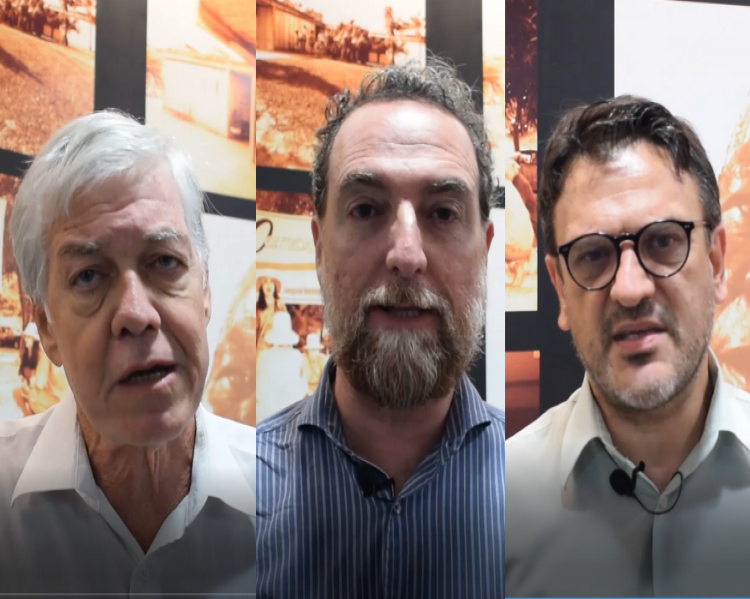 imagem com os três videos sobre conselhos para o blog (1)