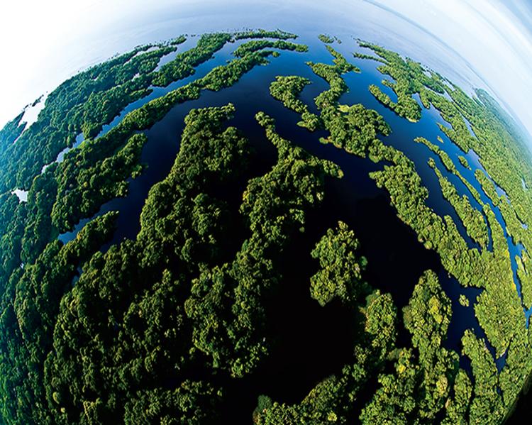 20100319_Rio Negro - Bento Viana