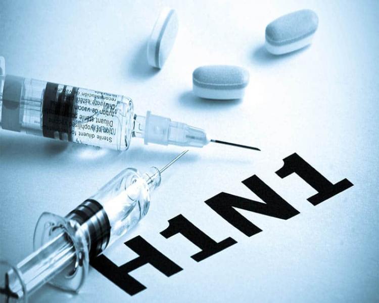 Gripe-h1n1