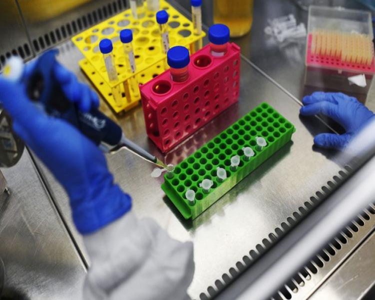 mãos com luvas azuis manuseiam seringa em uma bancada de laboratório com frascos sobre ela