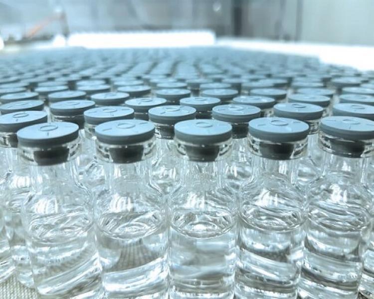 Vidros transparentes com tampas de cor cinza enfileirados, todos iguais 