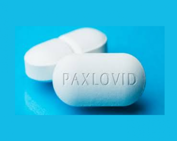 paxlovid