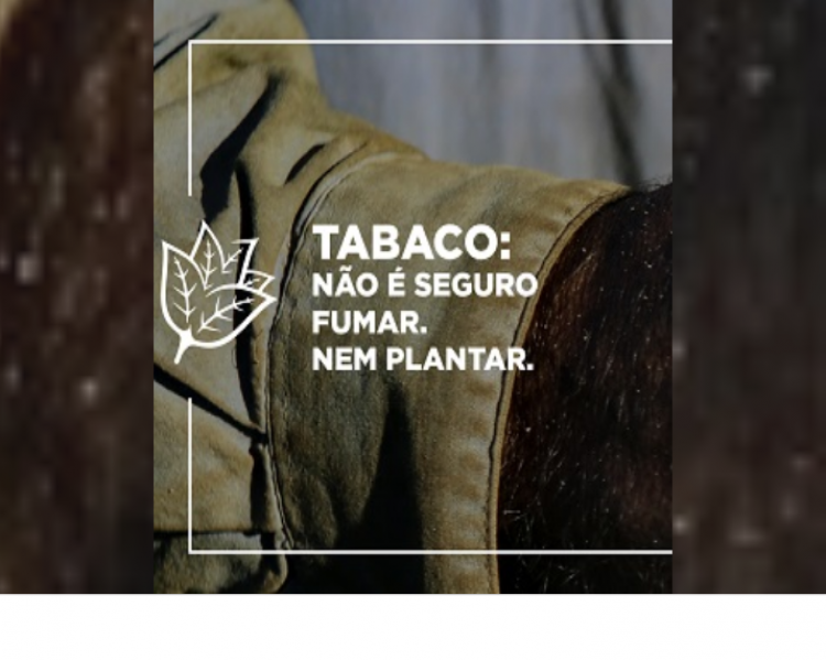 Fiocruz_Tabaco