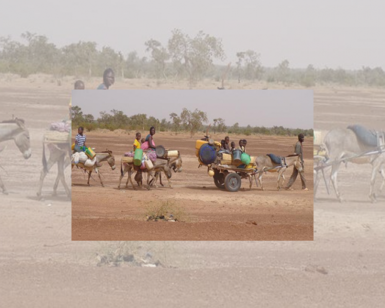 imigrantes andrea V4