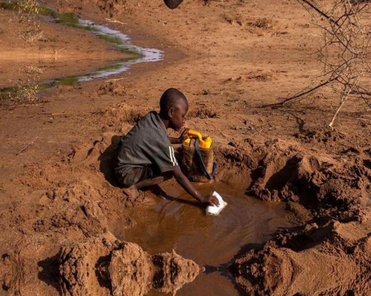O UNICEF estima que metade da população com menos de cinco anos na Somália provavelmente enfrentará desnutrição aguda nos próximos meses. País é um dos que enfrenta as consequências da múltipla crise planetária. Foto: © Sebastian Rich/UNICEF