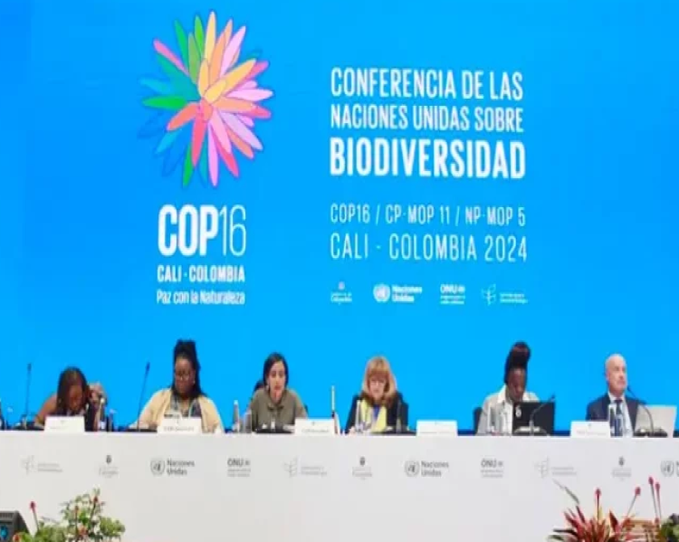 Homens e mulheres sentados a uma mesa de debate tendo atrás telão gigantesco de fundo azul claro com o símbolo e o título da COP16